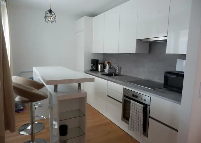 Apartment Spacious, Modern 1-bdrm Near Vic & Austria Ctr